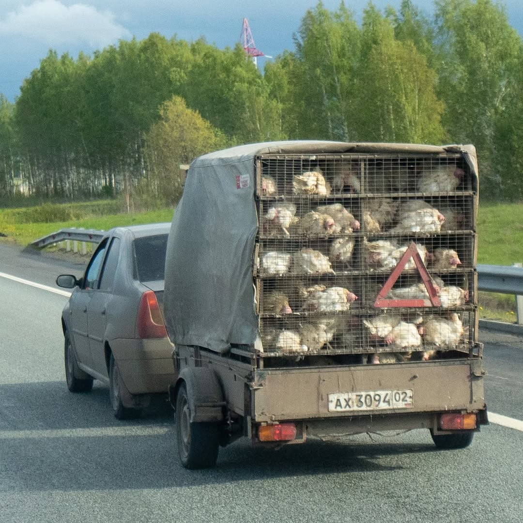 Weitere Eindrücke aus Kasan 2