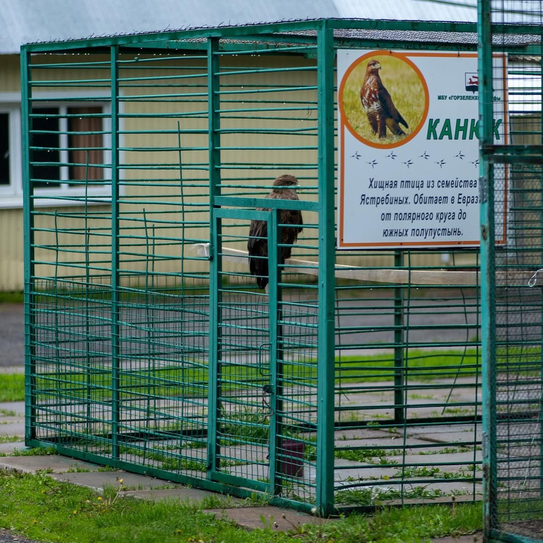 Authentische Begegnungen in Ufa 4