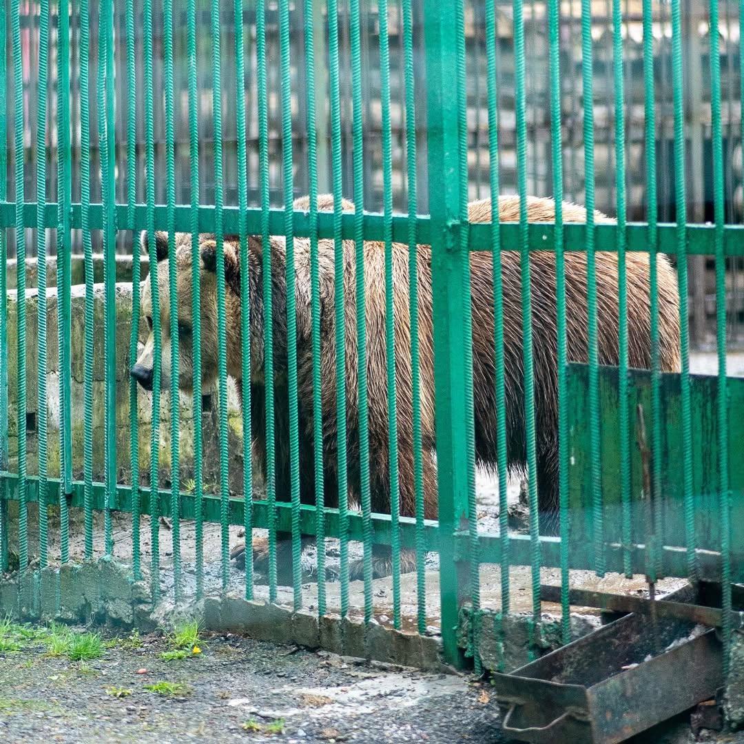Kulinarische Entdeckungen in Ufa 1
