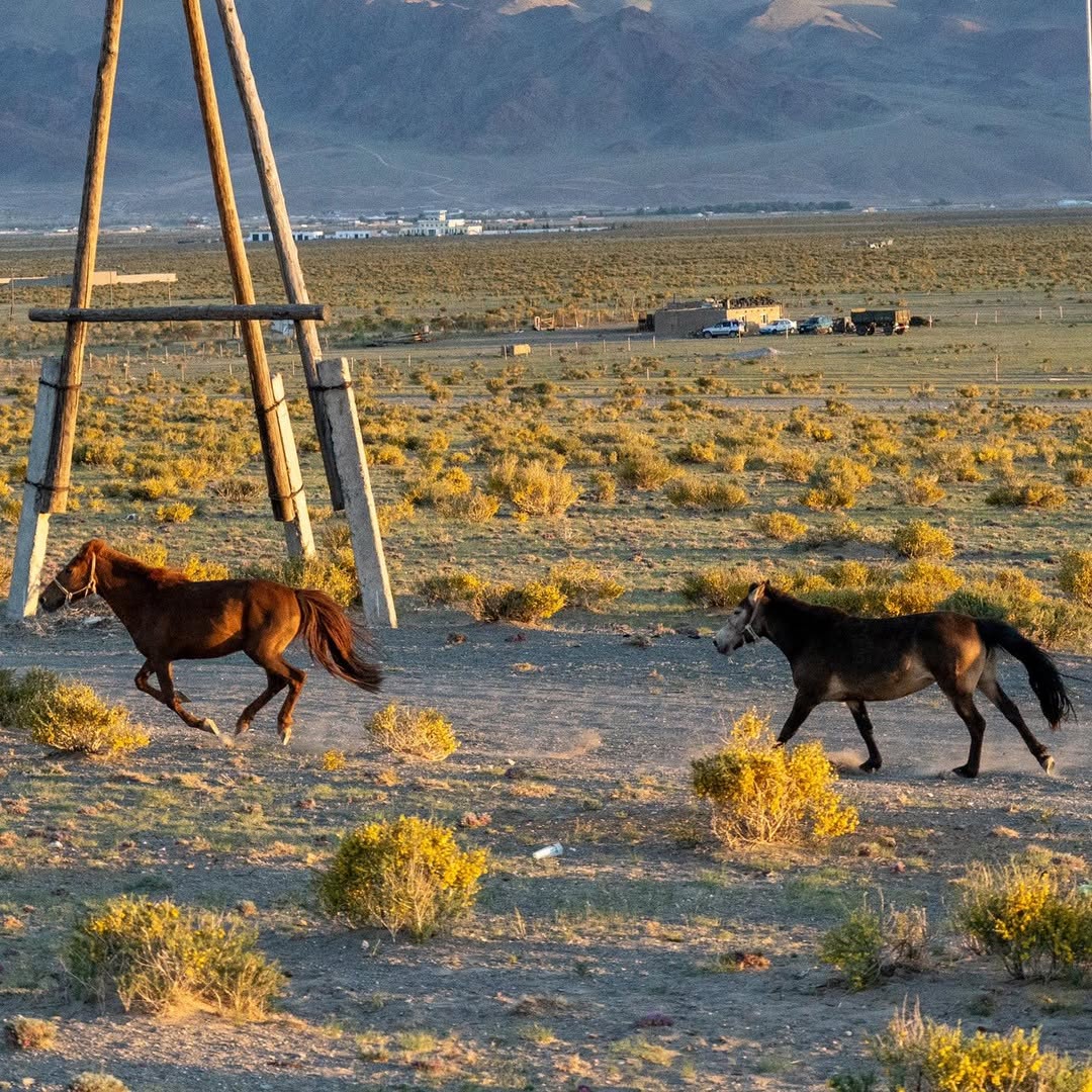 Mongolei hautnah: Dein erster magischer Tag in Olgii