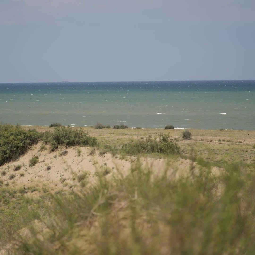 Blick von der Düne