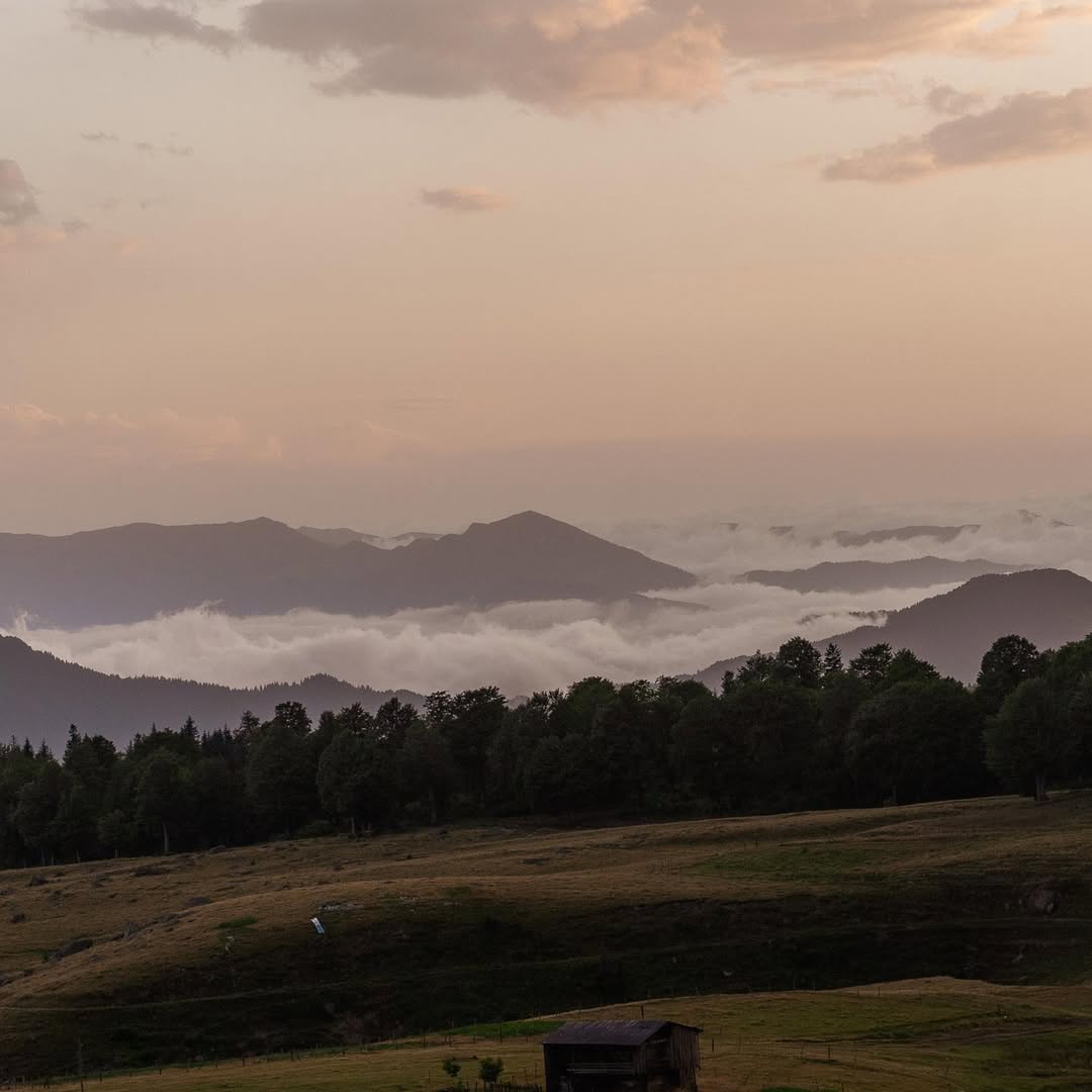 Vanlife Community Poti